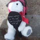 White Plush Teddy Bear With Red Shirt   Brown Pants  With Clothes  1pc