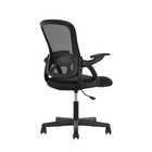 Mainstays Ergonomic Mesh Back Office Chair With Flip Up Arms For Adults  Black F