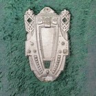 Antique French 1800s 1900s Photo Album Victorian Velvet Embossed With Pictures