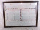 Chadwick Framed Family Tree Chart 7 Generation Genealogy Poster Blank