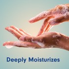 Softsoap Hand Soap 11 25 Fl Oz  Warm Vanilla   Coconut Milk  6 Pack  Softsoap