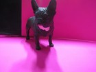 French Bulldog Fiqurine 4 Inches Long 3 Inches Tall Resin Preowned