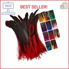 Colorful Rooster Tail Feathers-50pc 10-12inch Natural Long Rooster Tail Feathers