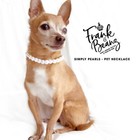 Handmade Elegant Pearls Dog Necklace For Dogs Cat Collar Luxury Pet Jewelry