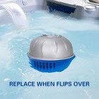 Replacement Chlorine Cartridges Fits Frog  ease Floating System - 3 Pack