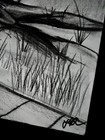 Original 18x24    Charcoal Drawing Rustic Nature Knotty Tree Signed Art Clevenger