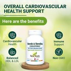 Organic Flaxseed Plant Sterols Supplement For Heart Health  Wellness