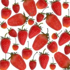 30 Pieces Artificial Strawberries Assorted Size  Lifelike Plastic Fake Fruit    