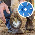 Electric Hoof Trimmer Horse Hoof Trimming Cutter Disc Kit Hoof Repair Tool 1pc