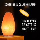 Himalayan Salt Lamp 10 In  Tall With Dimmer Switch - Night Light Table Lamp