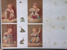Card Album And Scrap Book  victorian Era  