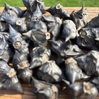 30 Horned Seed Pods     Natural Craft Decor For Aquariums  Witchy Displays  Or Diy