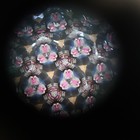 Vintage 7  Glass Handmade Kaleidoscope Beautiful  Not A Toy
