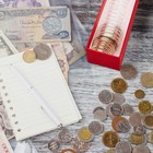  Pcs Coin Storage Box 2x2inch Flip Holders Collectors Coin Supplies 16 Red