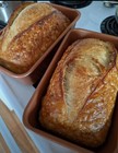 Sour  Sourdough Starter Heritage San Francisco - Live 200yrs Old Best Seller 
