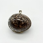 Vintage Natural Tiger Cowrie Shell Polka Dot Hinged Gold Coin Trinket Snuff Box