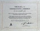 Ufc Freedom 250          American Flag Flown Over U s  Capitol On June 14  2026