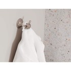 Pfister Briscoe J-hook Double Robe towel Hook In Spot Defense Brushed Nickel