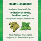 Greenies Feline Catnip Flavor Adult Dental Cat Treats 