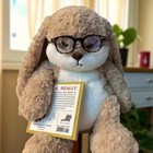 Angry Rabbit Plush Toy  30cm Large Size Stuffed Bunny  Grumpy Cute Plush Doll