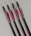 Killer Instinct Hypr 20-inch Carbon Crossbow Bolts  4-pack Loose half-moon Nocks