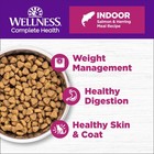 Grainfree Adult Dry Cat Food For Indoor Cats With Salmon   Herring  5 5 Lbs