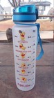 Winnie Pooh 32oz Water Track Bottle  used