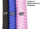 Pet Nylon Round Braided Dog Choke Collar By Cutenfuzzy Multiple Sizes   Colors