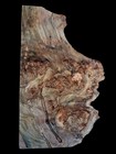Xl Curly Birdseye Maple Burl Wood  Turning Wood  Epoxy Wood  Live Edge Maple 