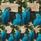Parrot Swing Toy Bird Toys Chewing Hanging Bell Cockatiel Cage Training Bird Toy