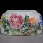 Nice Chinese Antique Art Hand Famille Rose Porcelain Flowers Plants Wash