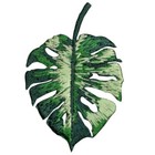 Monstera Leaf Applique Patch - Embroidered Tropical House Plant Badge 2  Iron On