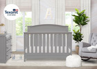 Emery 4-in-1 Convertible Baby Crib  Pack Of 1  Grey