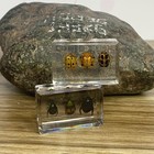 20 Pcs Insect In Resin Specimen Bugs Collection Paperweights Arachnid Resin Lot