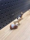 Lot Of Schleich German Shepherd Lamb Sheep Gerbil Hamster  not Marked  Figures
