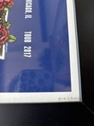 Framed Iconic Dead   Company 2017 Summer Tour Poster