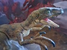 Custom Hand Painted Jurassic World Amber Collection Velociraptor Figure