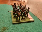 10 Napoleonic Russian Jagers 25mm Minifigs Painted  lot 278 
