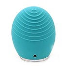 Foreo Luna 2 Mint T-sonic Oily Skin Facial Cleansing Device   See Description