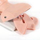 Intubation Manikin Teaching Model Adult Airway Management Trainer Tracheal Model