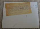 Kentucky Derby Winner Shut Out Horse Racing Photo  Vintage Saratoga 1943