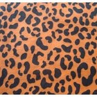 Gymnastics Leotard Grip Bags   Orange Cheetah Gymnasts Birthday Goody Bag 