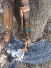   awesome Vintage Native American Apache Short Bow 47 In   Quiver  Htf  