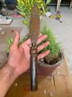 Antique Old Rare Hand Forged Copper Bronze Tribal Hunting Spear 13  Head Lance