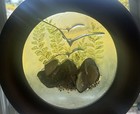 Vintage Lucite Wall Art Seagulls Shells Beach Cottage 3d Mid Century Diam  10 5   