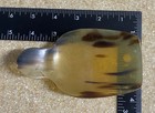 Antique Celluloid Apothecary Horn Scoop General Store