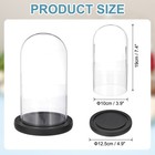 Glass Cloche Display Dome 7 4  X 3 9  Glass Dome Display Case Black 