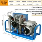 4500psi 3hp 220v 300 Bar High Pressure Air Compressor Scuba Tank Refill Portable