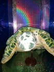    melissa   Doug    life-like  Giant      sea Turtle  Green Spots  2127 30  Plush 