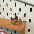 Yujin Realistic Miniature Lobster Crayfish Secret Sp 2  Mini Figure Toy Japan